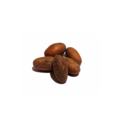 Nueces de cola amargas (Orogbo) - 500g